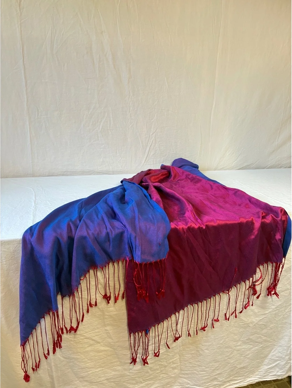 Two-Tone Blue and Burgundy Shawl with Fringe Detailing